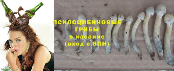 гидропоника Абдулино
