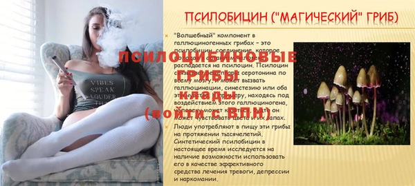 гидропоника Абдулино